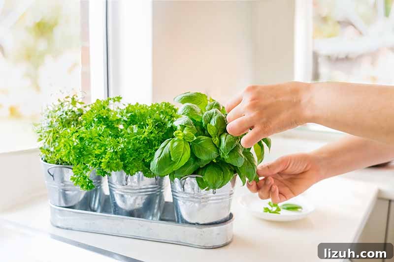9 Delicious Tricks to Boost Flavor in Steamed Vegetables 6 Horizontal image of hands picking leaves of herbs on a counter.