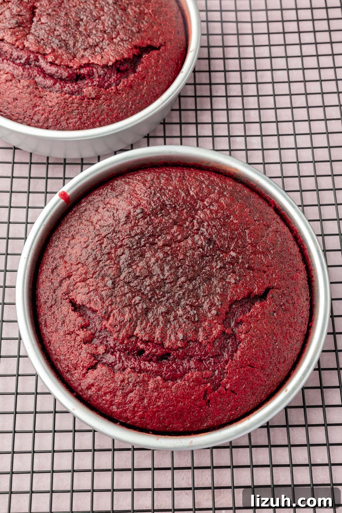 Gluten-Free Red Velvet Cake Recipe: Moist, Rich & Simple to Make 12 Two red velvet cakes in their pans on a wire cooling rack.