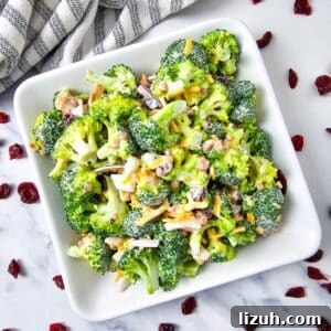 Keto Broccoli Salad with Bacon, Cheddar & Creamy Dressing 9 Low Carb Broccoli Salad in a bowl with cranberries scattered
