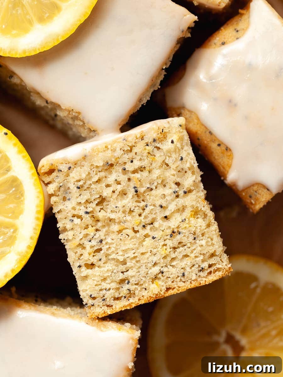 Gluten-Free Lemon Poppy Seed Cake Recipe with Zesty Glaze 2 slices of lemon poppy seed cake topped with a lemon glaze and slices of lemon made with gluten free ingredients