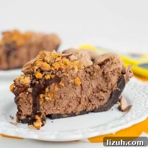 Butterfinger Ice Cream Pie Recipe — No-Bake Dessert with Chocolate Crust 3 A slice of chocolate peanut butter pie on a plate.