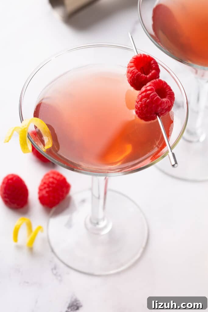 Top view of a vodka martini cocktail