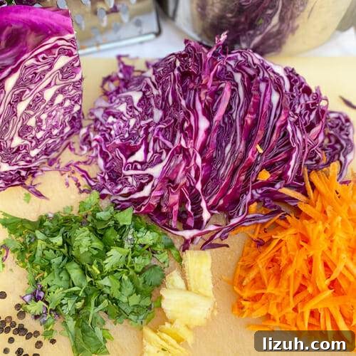 ingredients for pickled cabbage