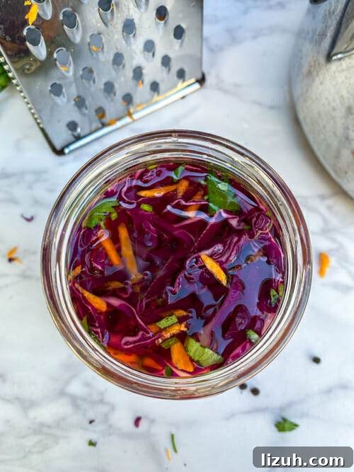 brine view of pickled cabbage
