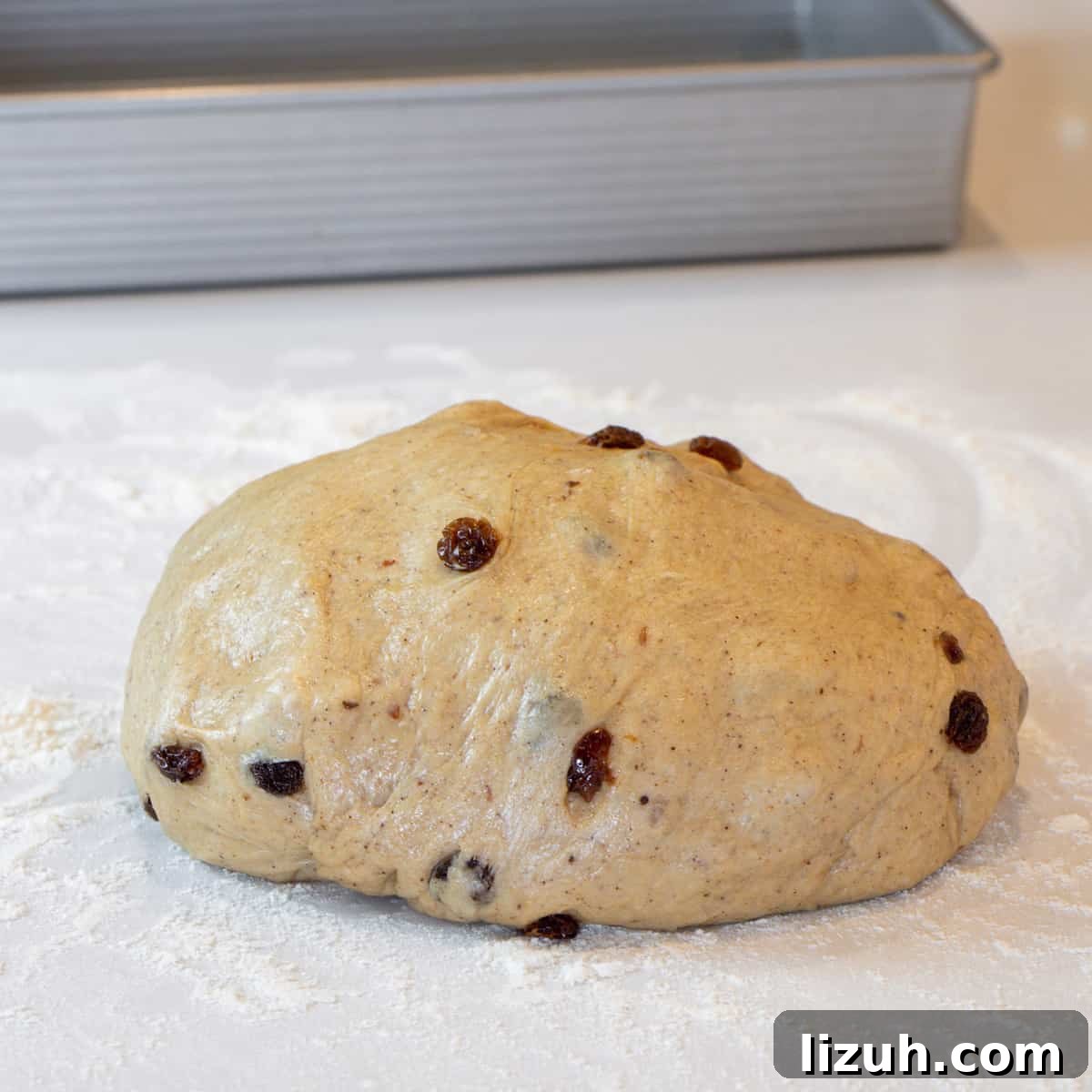 Dough resting on a floured surface.