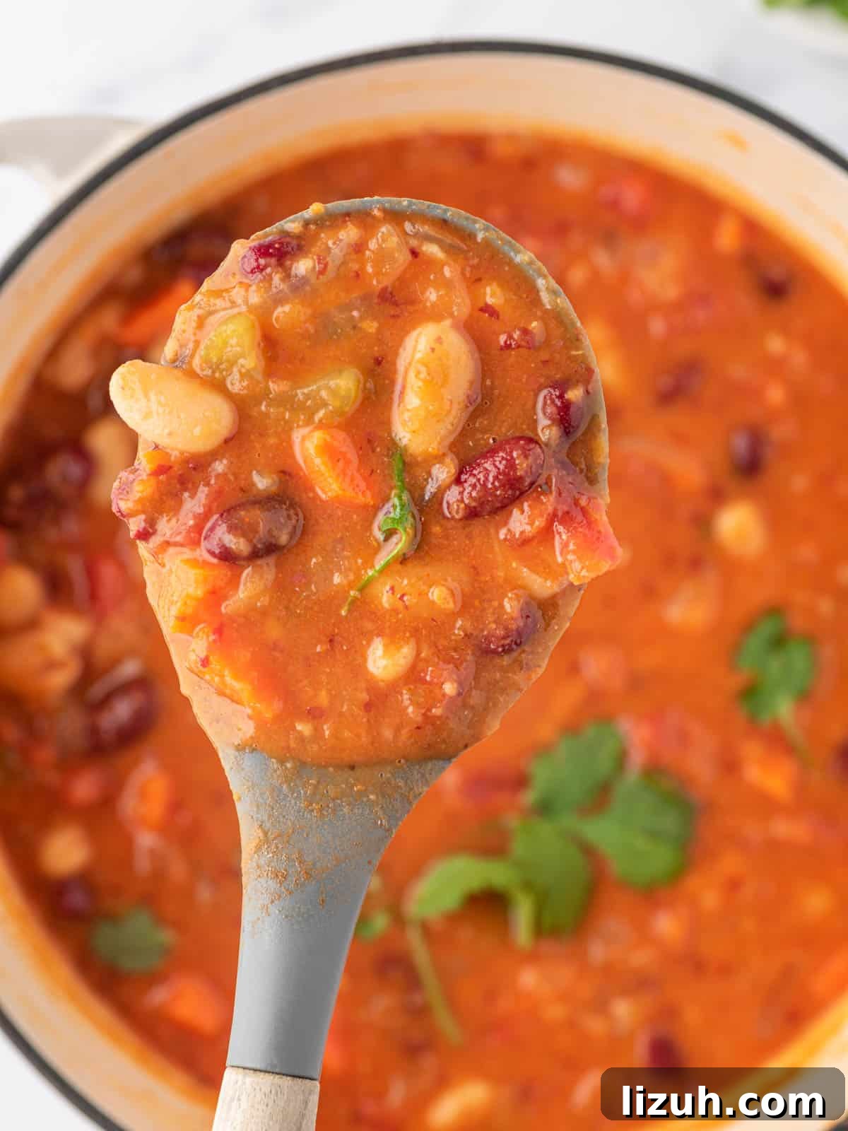 A spoonful of kidney bean chili held above a full pot.