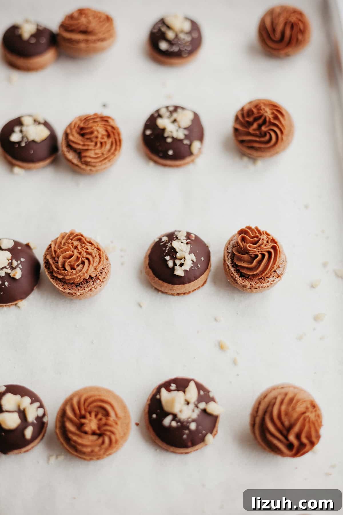 Nutella-Filled Chocolate Macarons: Classic French Cookie Recipe 11 Macaron shells lined up on parchment paper. Half have been piped with nutella buttercream, the other half have been dipped in chocolate