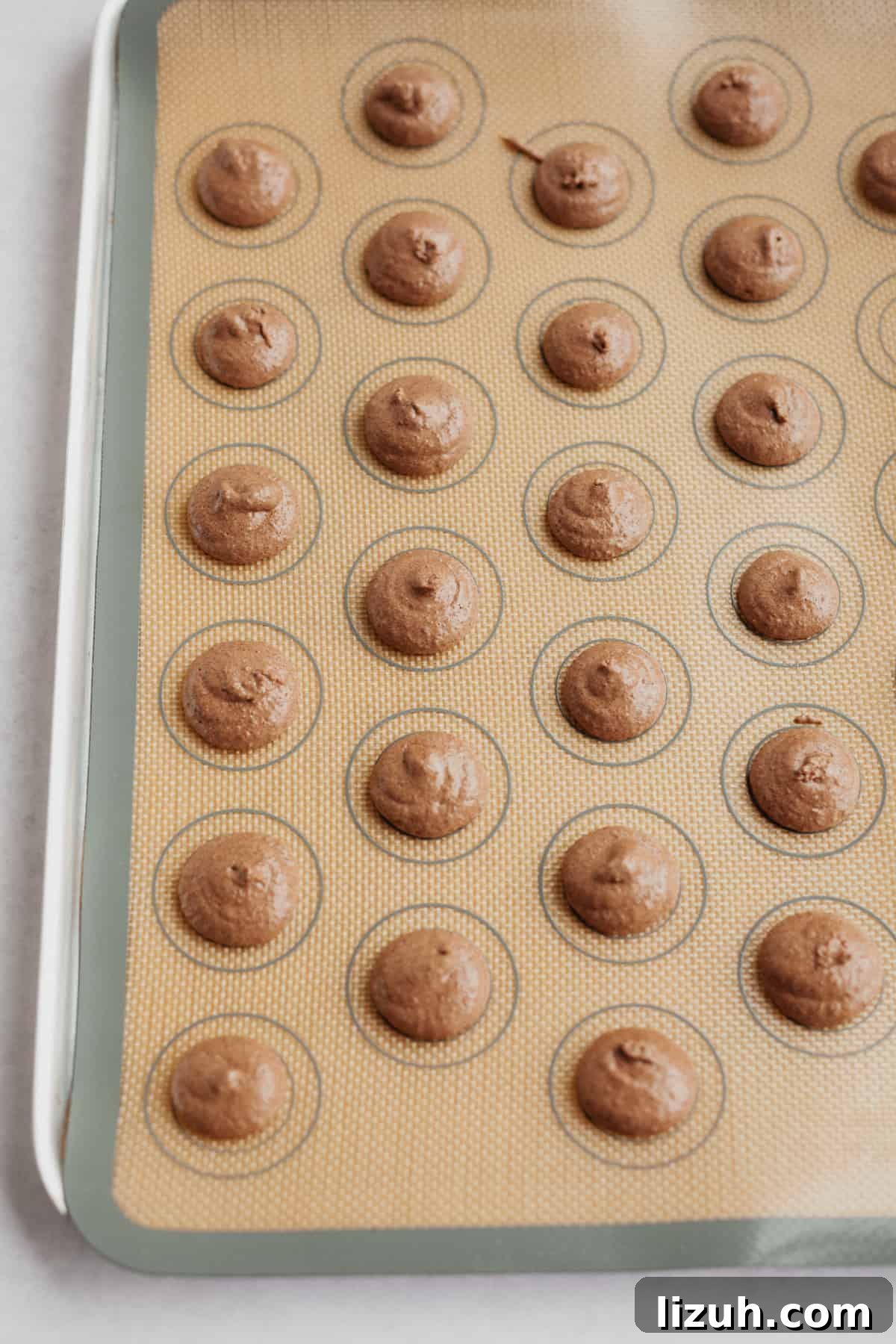 Nutella-Filled Chocolate Macarons: Classic French Cookie Recipe 9 A baking tray with unbaked piped out macaron shells