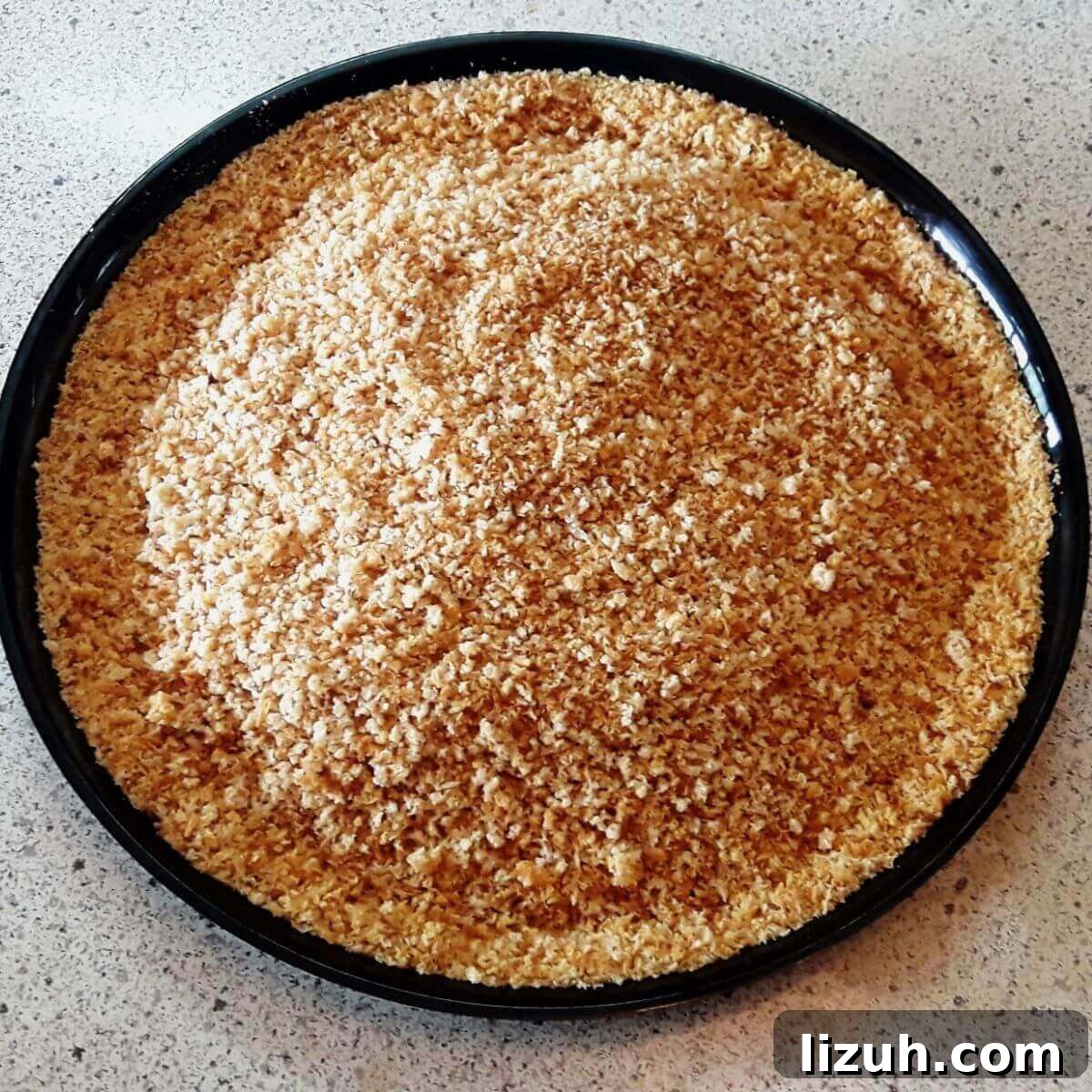 Homemade Breadcrumbs: Simple Methods for Fresh, Crispy Crumbs 6 homemade breadcrumbs on a black plate.