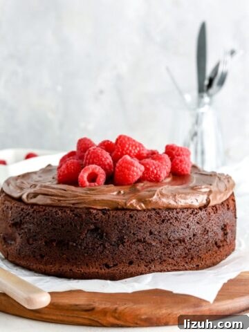Chocolate Raspberry Cake