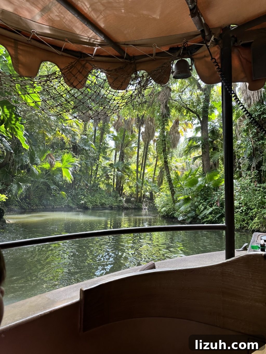 A picture taken from the Jungle Cruise boat of the river with jungle trees all around
