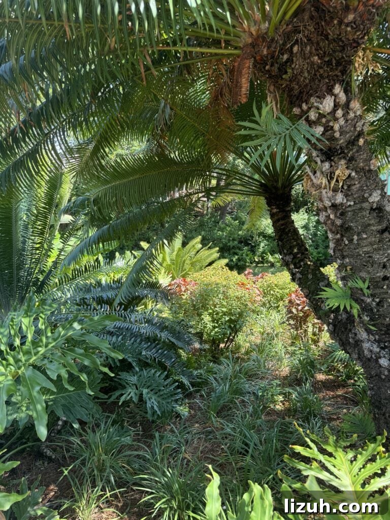 Jungle plants