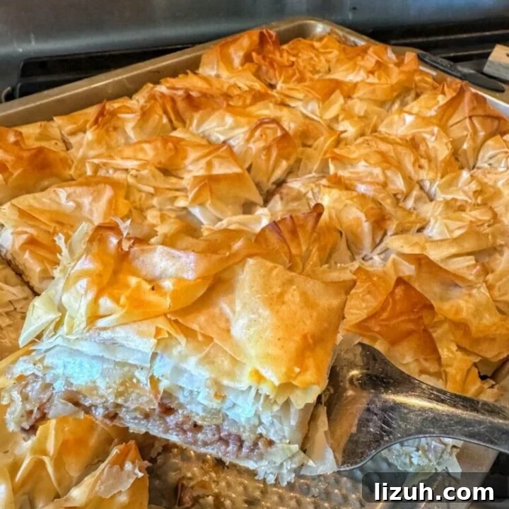 Cheeseburger Spring Roll Squares Recipe