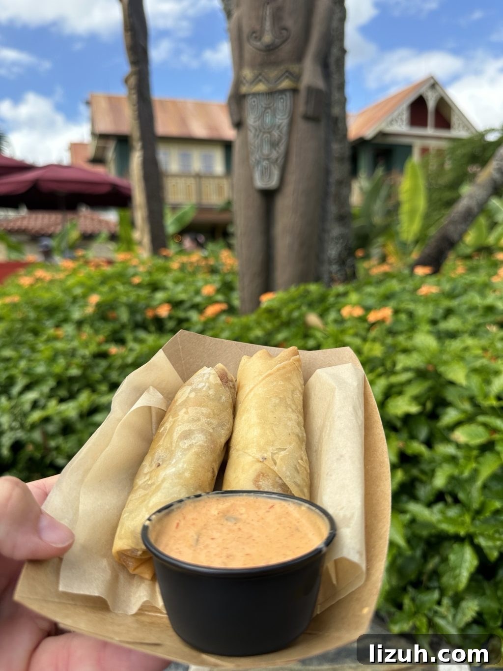 Cheeseburger Spring Rolls with a side of Thousand Island dressing held up with Adventure Land in the background