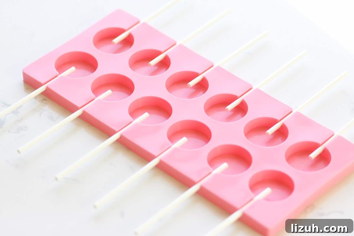 Homemade Honey Lollipops: A Sugar-Free Recipe You’ll Love 5 a lollipop mold with lollipop sticks