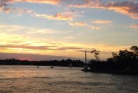 Explore Sydney by Ferry: Top Routes, Sights & Timetables