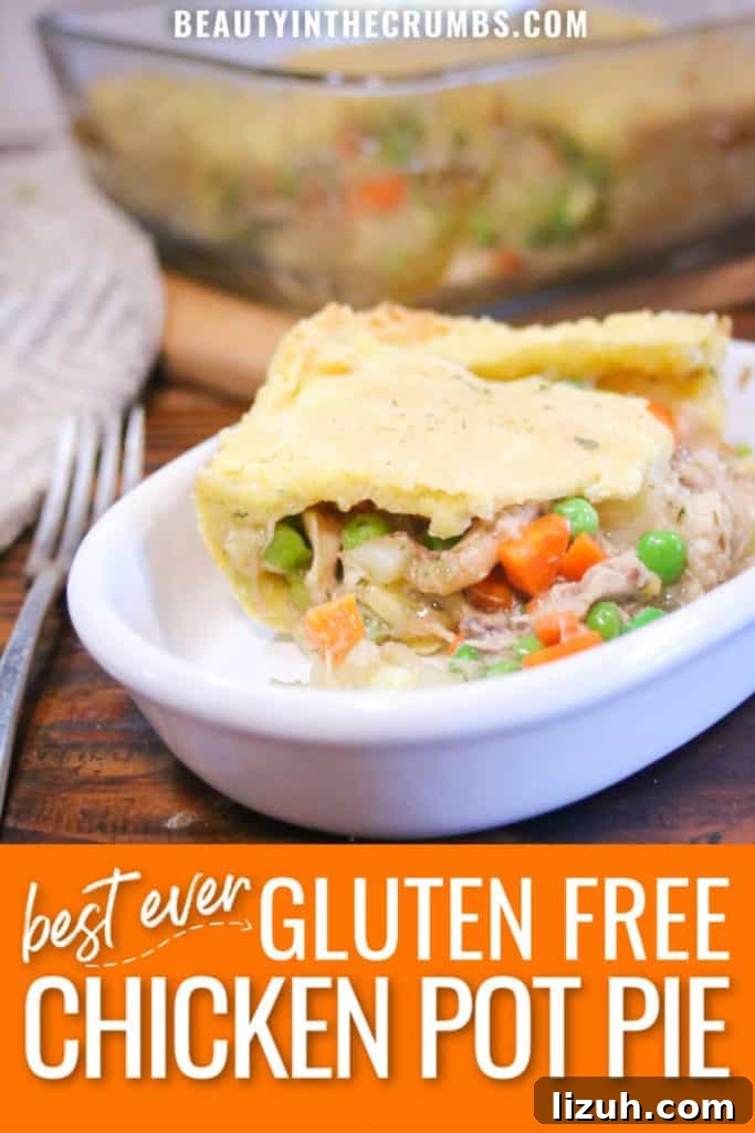 Gluten-Free Chicken Pot Pie Recipe with Flaky Crust 2 gluten free chicken pot pie recipe