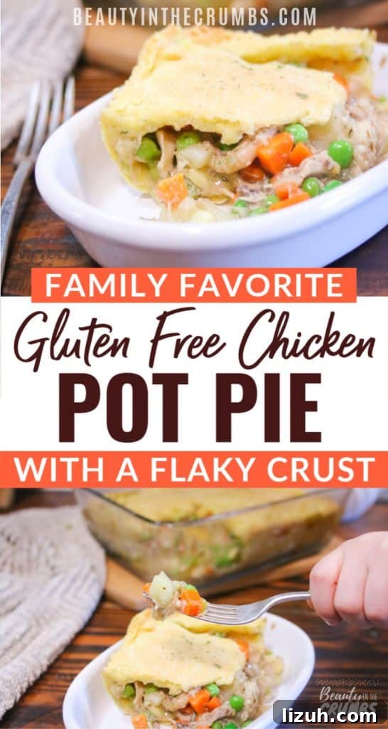 Gluten-Free Chicken Pot Pie Recipe with Flaky Crust 3 easy gluten free chicken pot pie dinner