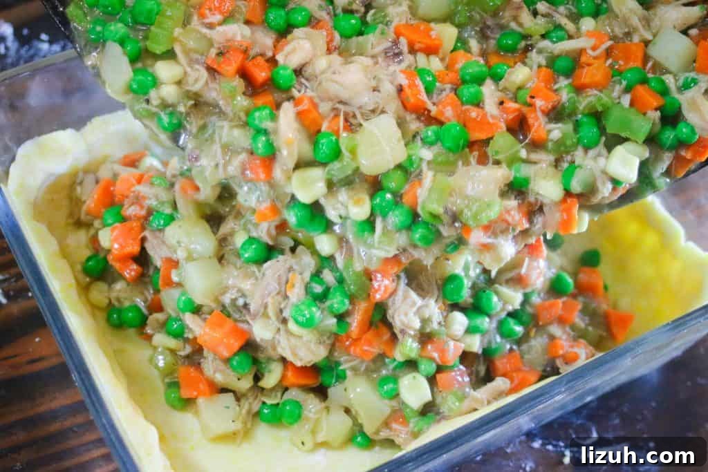 Gluten-Free Chicken Pot Pie Recipe with Flaky Crust 9 img 2880 8