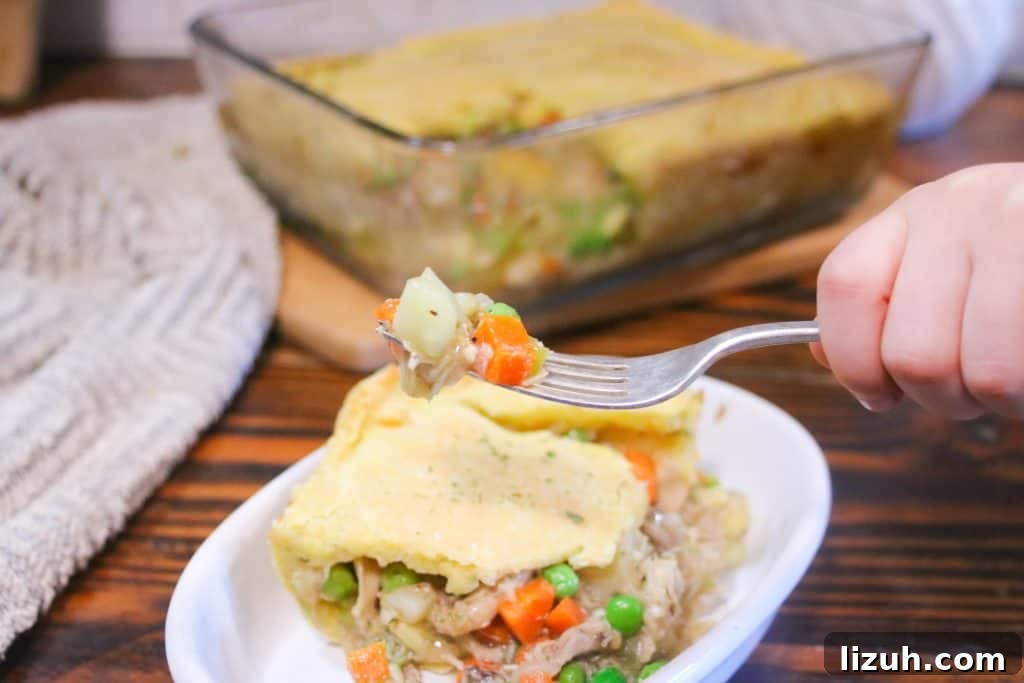 Gluten-Free Chicken Pot Pie Recipe with Flaky Crust 10 img 2880 9