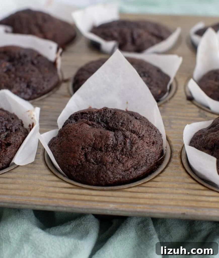 Chocolate sourdough zucchini muffins in a muffin tin with parchment paper liners.