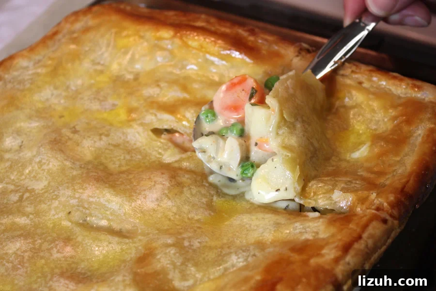 Classic Chicken Pot Pie Recipe: Flaky Crust and Creamy Filling 2 Chicken Pot Pie with the spoon just breaking through the crust.