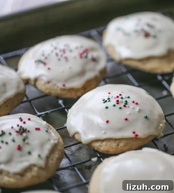 eggnog cookies recipes