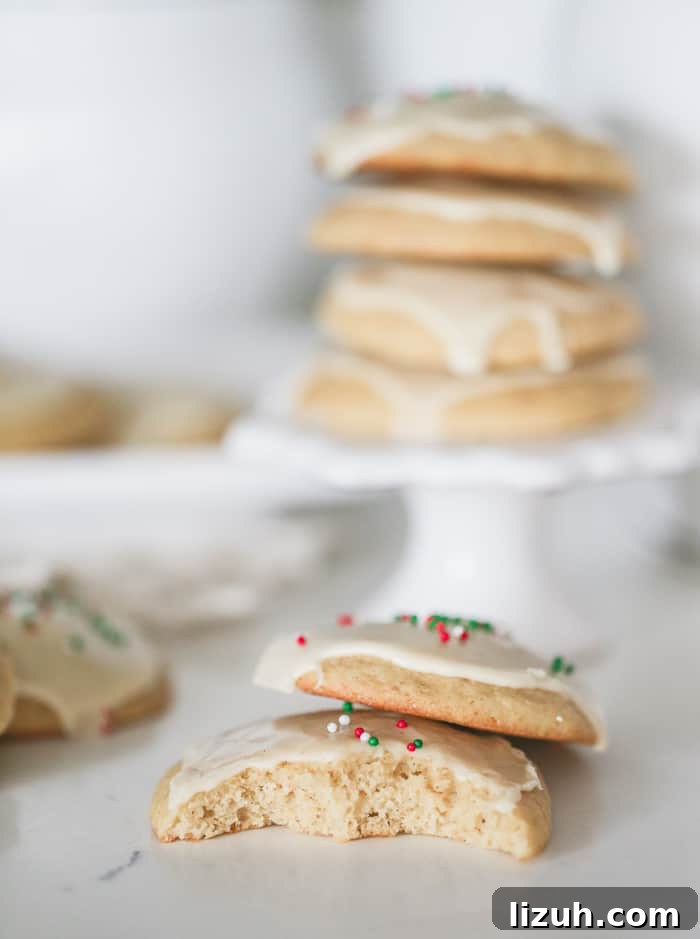 eggnog cookie cookies recipes