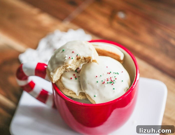 eggnog cookie cookies recipes