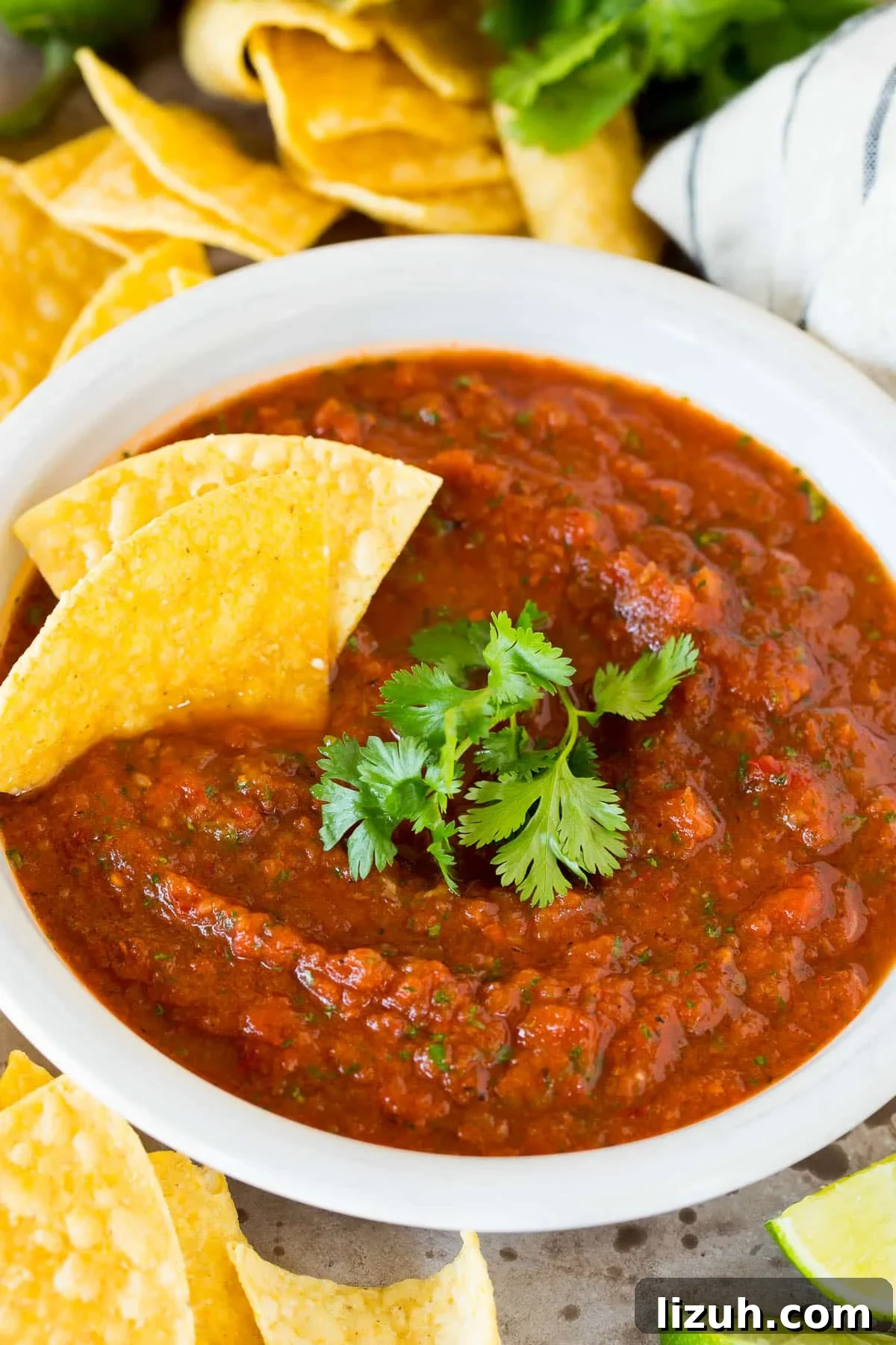 Authentic Chipotle Salsa Recipe for Smoky, Flavorful Dips 2 A bowl of chipotle salsa topped with fresh cilantro and tortilla chips.
