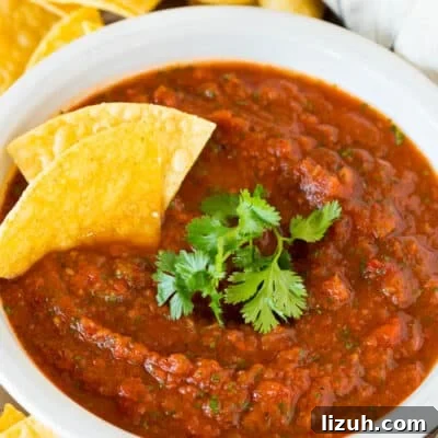 Authentic Chipotle Salsa Recipe for Smoky, Flavorful Dips 12 A bowl of chipotle salsa topped with fresh cilantro and tortilla chips.