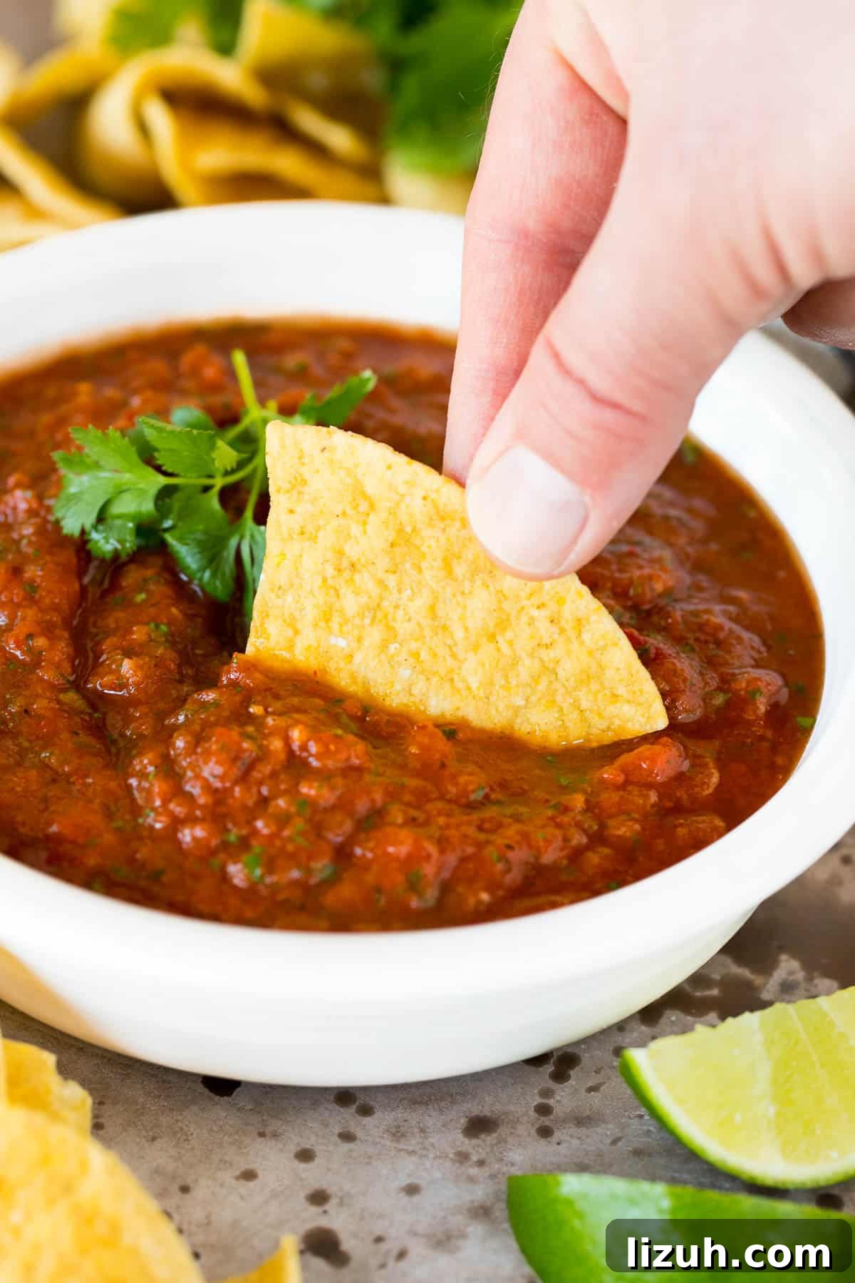 Authentic Chipotle Salsa Recipe for Smoky, Flavorful Dips 6 A chip scooping up a serving of tomato salsa.