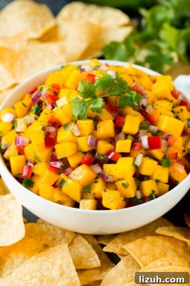 Authentic Chipotle Salsa Recipe for Smoky, Flavorful Dips 8 A bowl of mango salsa served with tortilla chips.