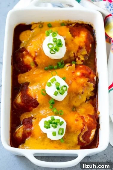 Authentic Chipotle Salsa Recipe for Smoky, Flavorful Dips 9 A dish of baked salsa chicken topped with cheese and sour cream.