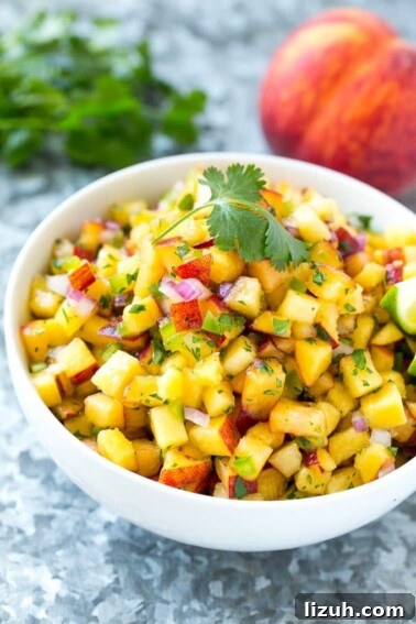 Authentic Chipotle Salsa Recipe for Smoky, Flavorful Dips 10 This recipe for peach salsa is the ultimate summer condiment.