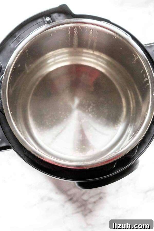 Stainless steel inner pot removed and cleaned before use.