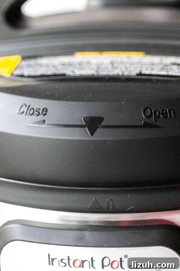 Lid alignment and locking mechanism for the Instant Pot Duo Plus.