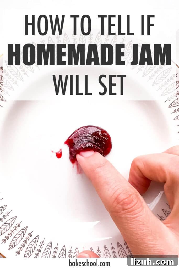 How to Tell When Jam Is Set: Simple Ways to Find the Perfect Jam Set 2 Using a plate test to determine if jam will set when it cools.