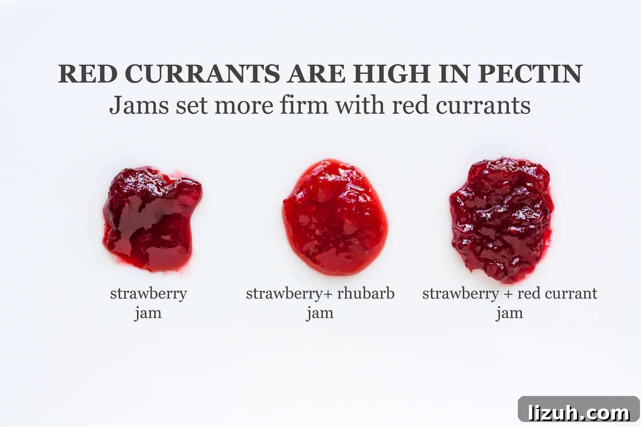 How to Tell When Jam Is Set: Simple Ways to Find the Perfect Jam Set 12 Comparing homemade strawberry jam with strawberry rhubarb (least set and most loose and fluid jam) and strawberry red currant (most set)