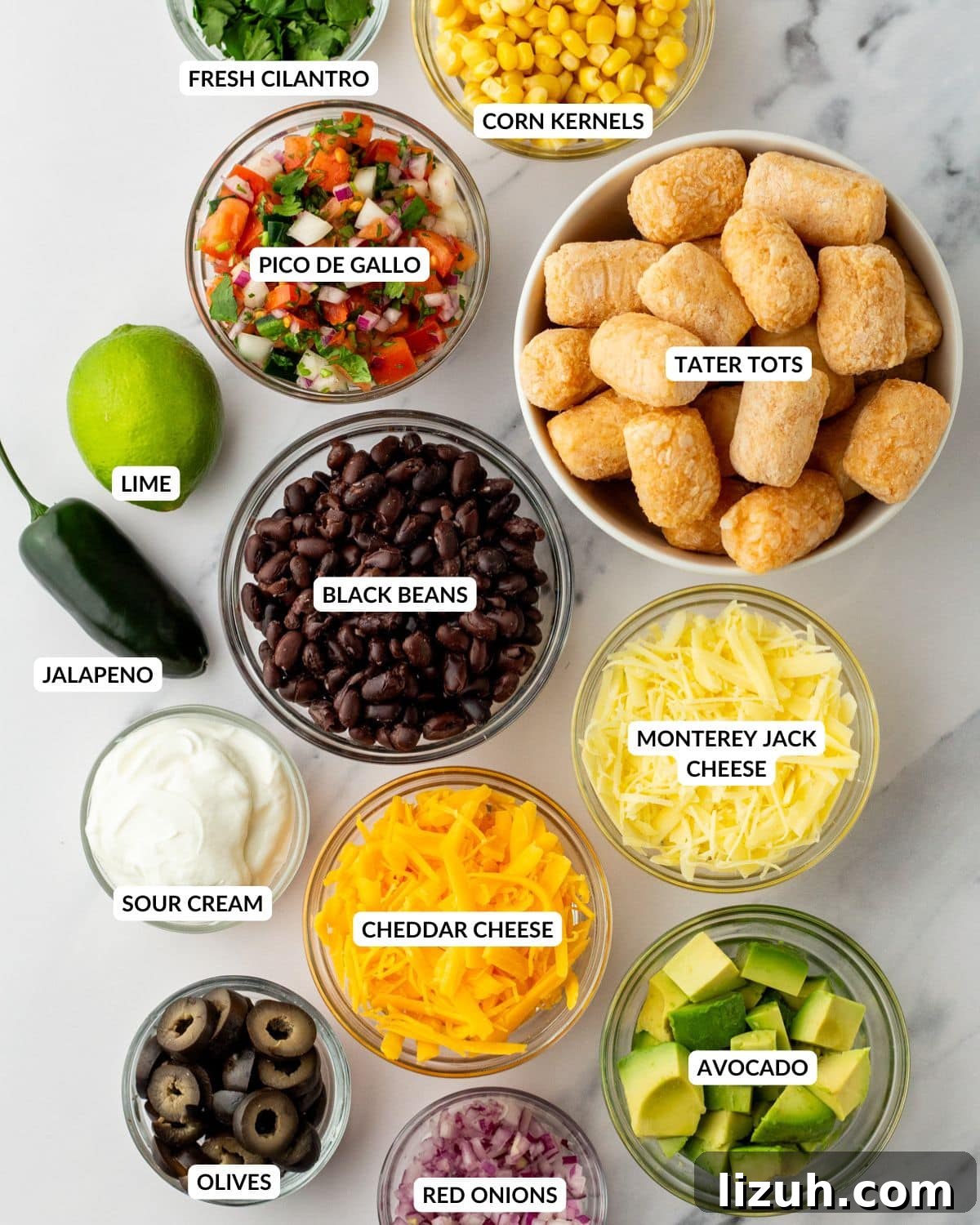 Loaded Tater Tot Nachos with Cheesy Beef and Jalapeños 3 An overhead image of ingredients of tater tot nachos.