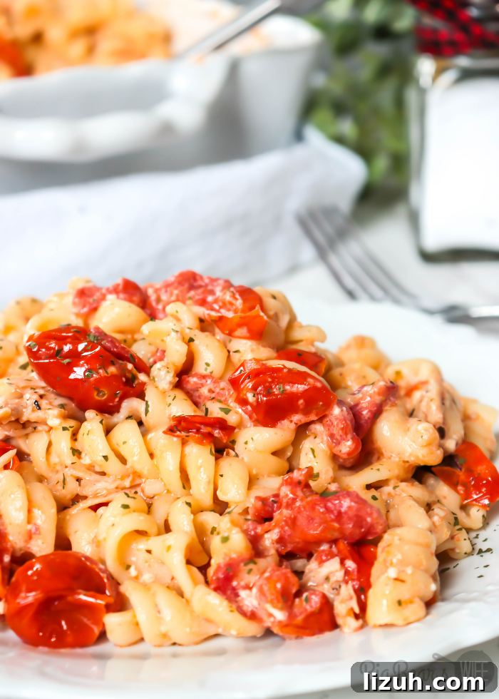 Baked Chicken and Feta Pasta TikTok Recipe 2 Serving of BAKED CHICKEN FETA PASTA – TIKTOK PASTA RECIPE on white plate