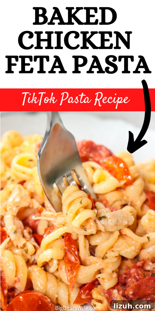Baked Chicken and Feta Pasta TikTok Recipe 13 A little chicken twist on the TikTok famous Chicken Feta Pasta