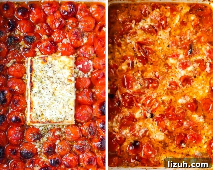 Baked Chicken and Feta Pasta TikTok Recipe 6 Roasted Cherry Tomatoes with block of feta cheese mixed together