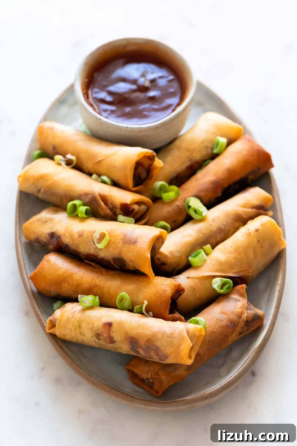 29 Authentic Vegan Chinese Recipes for Flavorful Plant-Based Meals 24 Vegan spring rolls on a plate with sweet and sour sauce garnished with spring onions.