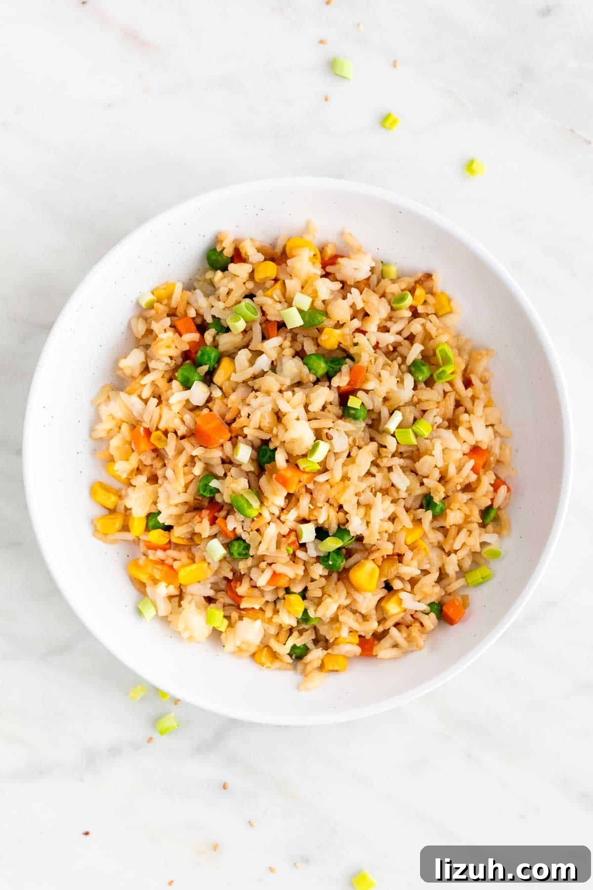 29 Authentic Vegan Chinese Recipes for Flavorful Plant-Based Meals 31 Vegan fried rice on white plate.