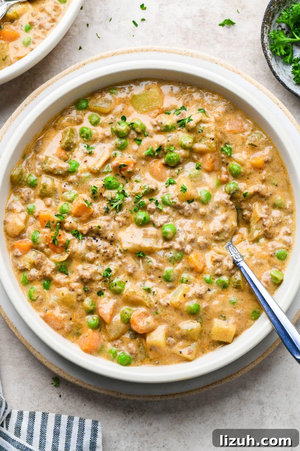 Dairy-Free Cashew Cream Shepherd’s Pie Soup Recipe 17 A bowl of thick and creamy shepherds pie soup, topped with some chopped fresh parsley.