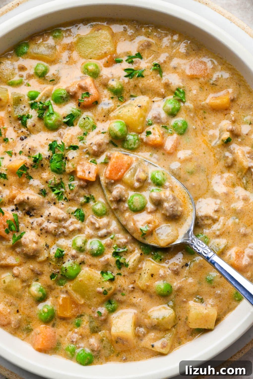Dairy-Free Cashew Cream Shepherd’s Pie Soup Recipe 3 Close up of a spoon dipping into a thick and creamy bowl of dairy free shepherds pie soup.
