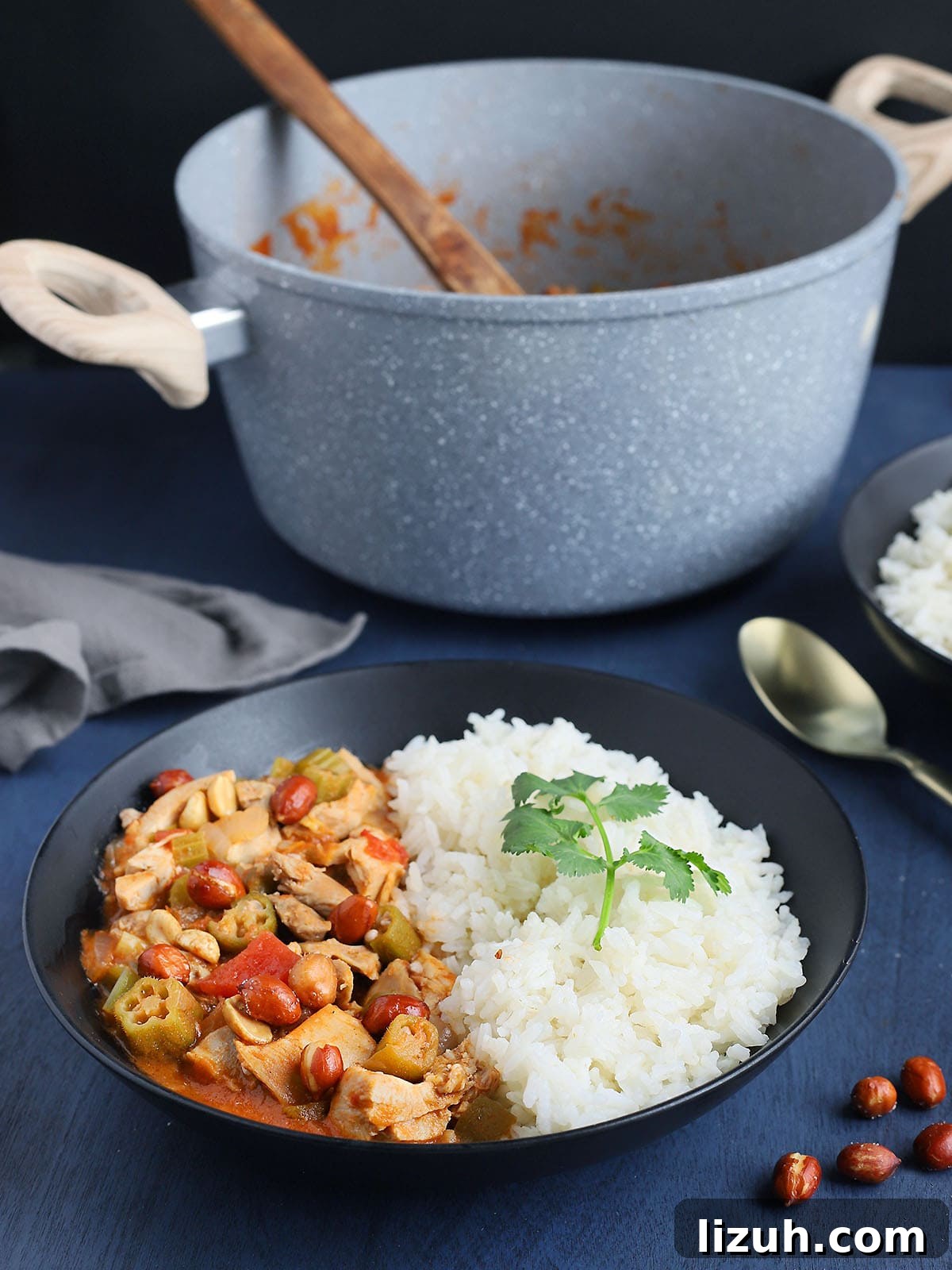 Back-to-School Dinner Ideas: Quick Family-Friendly Recipes 30 black bowl filled with rice and chicken peanut stew with a gold spoon to the side and a gray pot of stew in the background