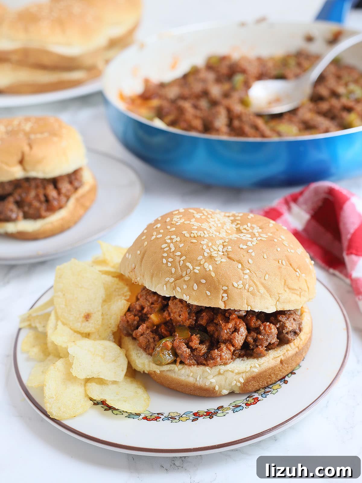Back-to-School Dinner Ideas: Quick Family-Friendly Recipes 47 Sloppy Joe sandwich on a plate with chips on the side
