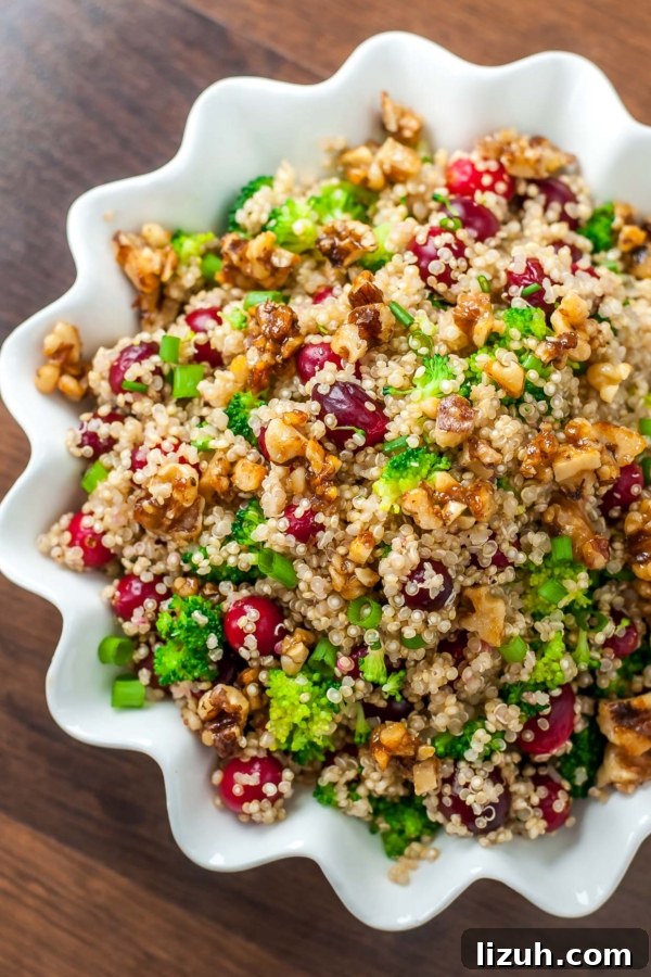 Savory Vegetarian Thanksgiving Menu Ideas for a Memorable Feast 17 Fresh Cranberry Quinoa Salad